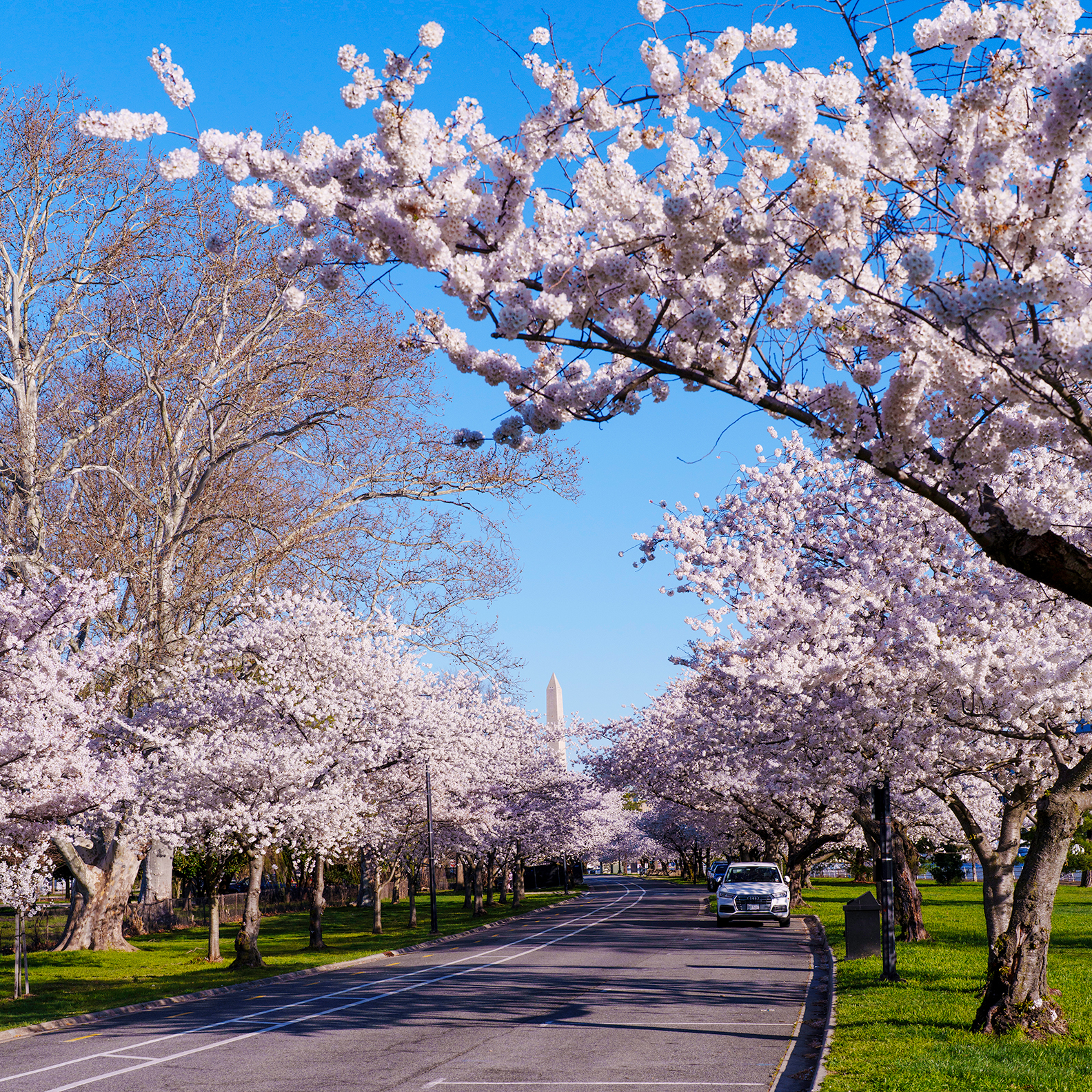 View from East Potomac Park